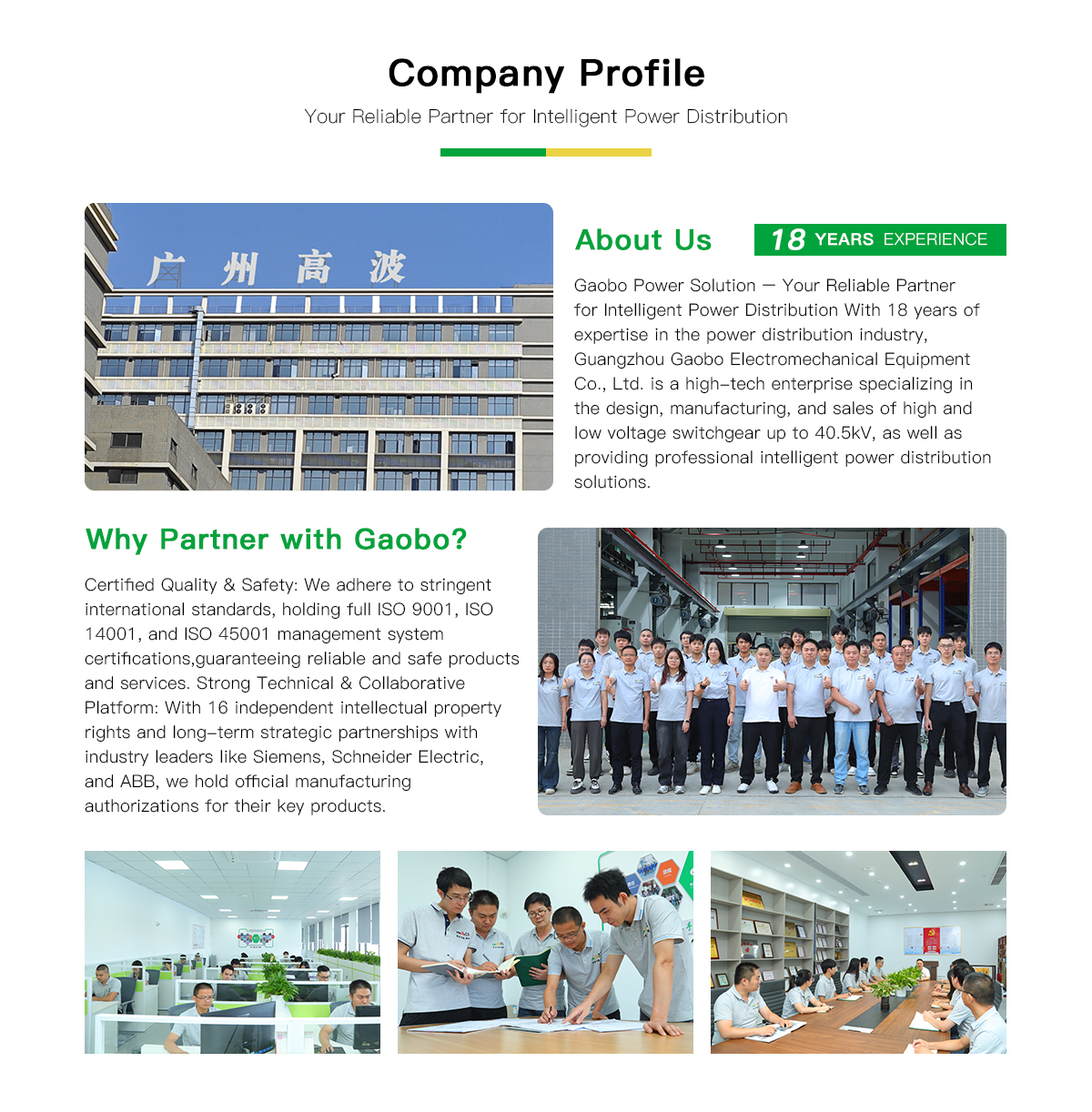 Switchgear Power Solution Company Profile