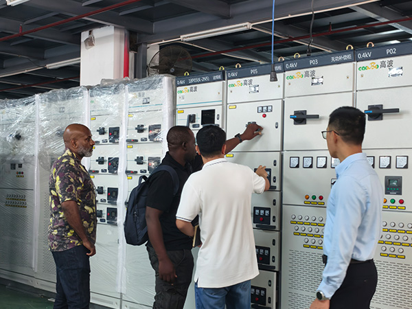 Ethiopian Customer Visits GAOBO Switchgear Factory to Explore Future Power Distribution Cooperation